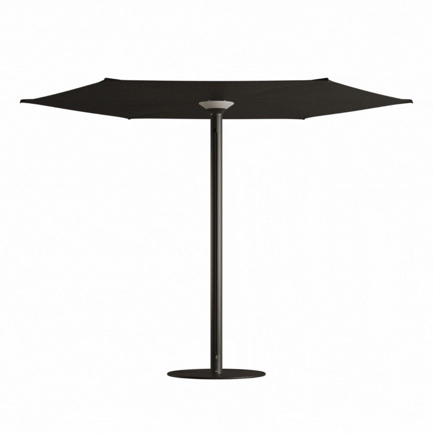 Anamon parasol