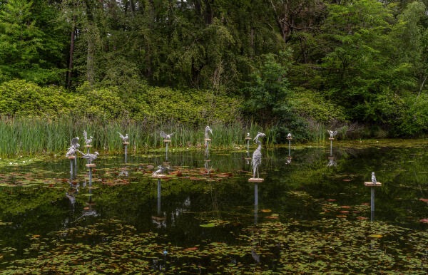 Saad Qureshi - Parliament of Feathers (2026) photography Gert Jan van Rooij