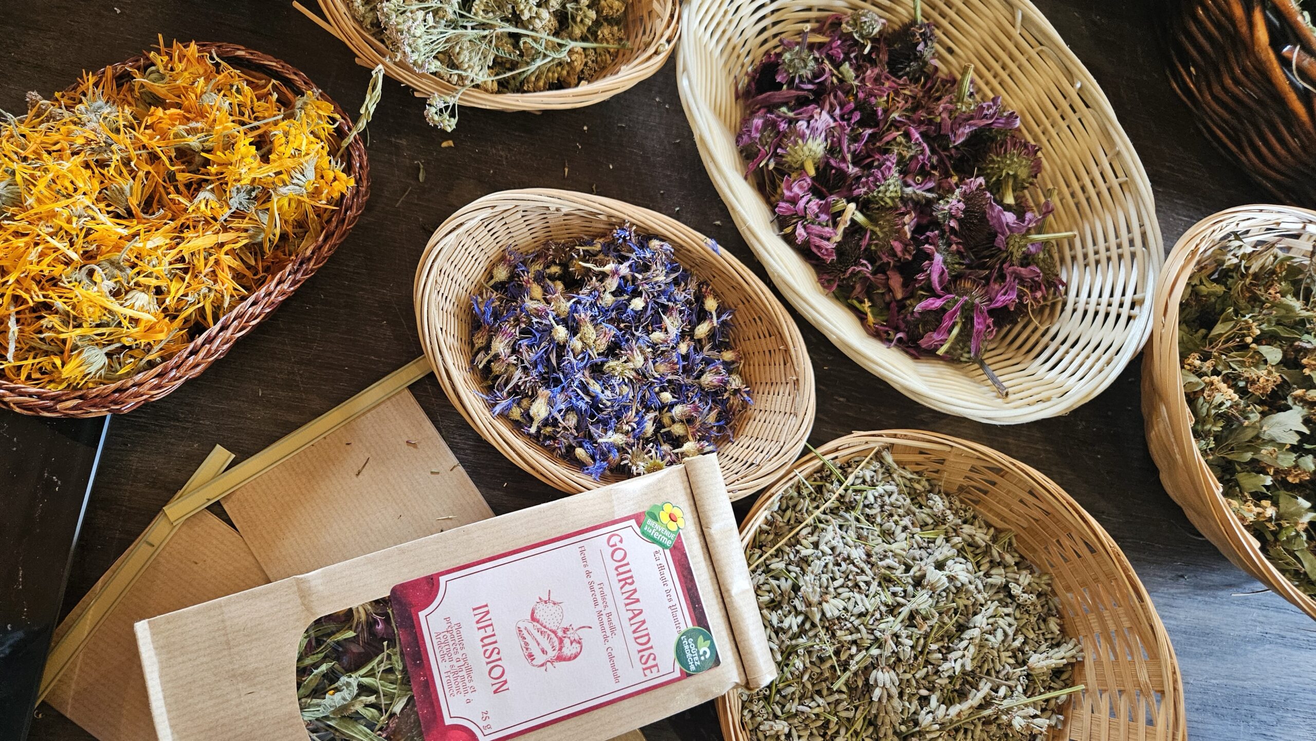 Botanische en medicinale plantenworkshops