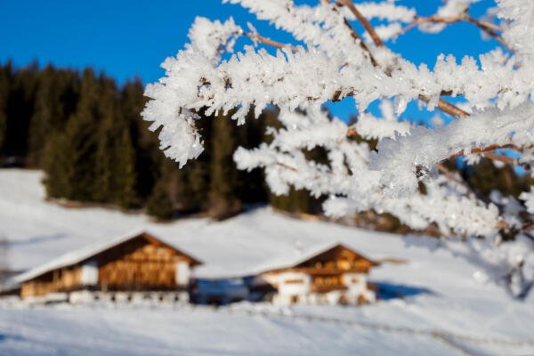 Wandelen door een winters landschap