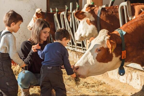 De boerderij als winterervaring