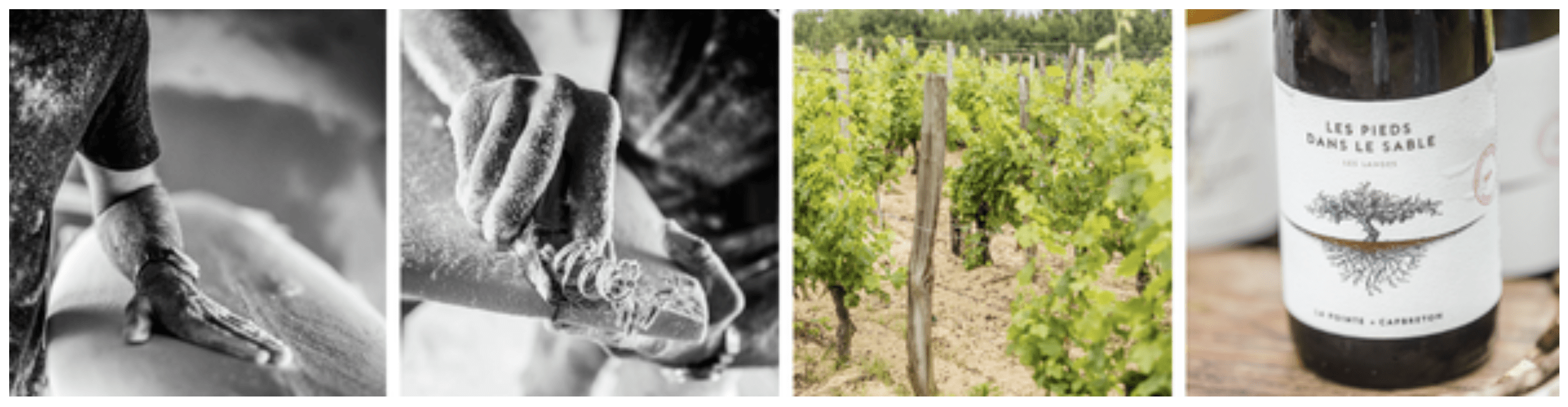 Fotos links Escoda Surfboards, Olivier Drezen; Fotos rechts Vins des Sables F. Makhlouf