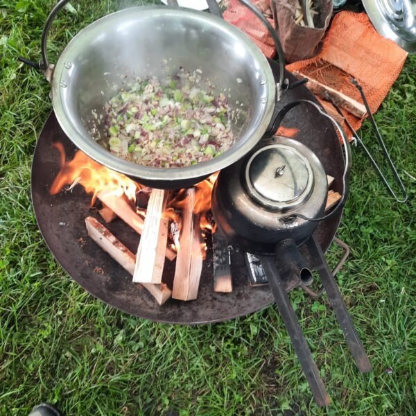 Wildplukken