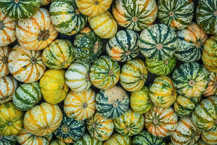 Pompoensoep, het lekkerste recept voor een gezellige maaltijd