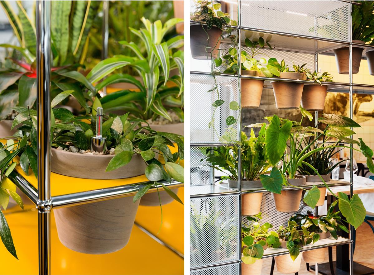 Verzorging voor dummies