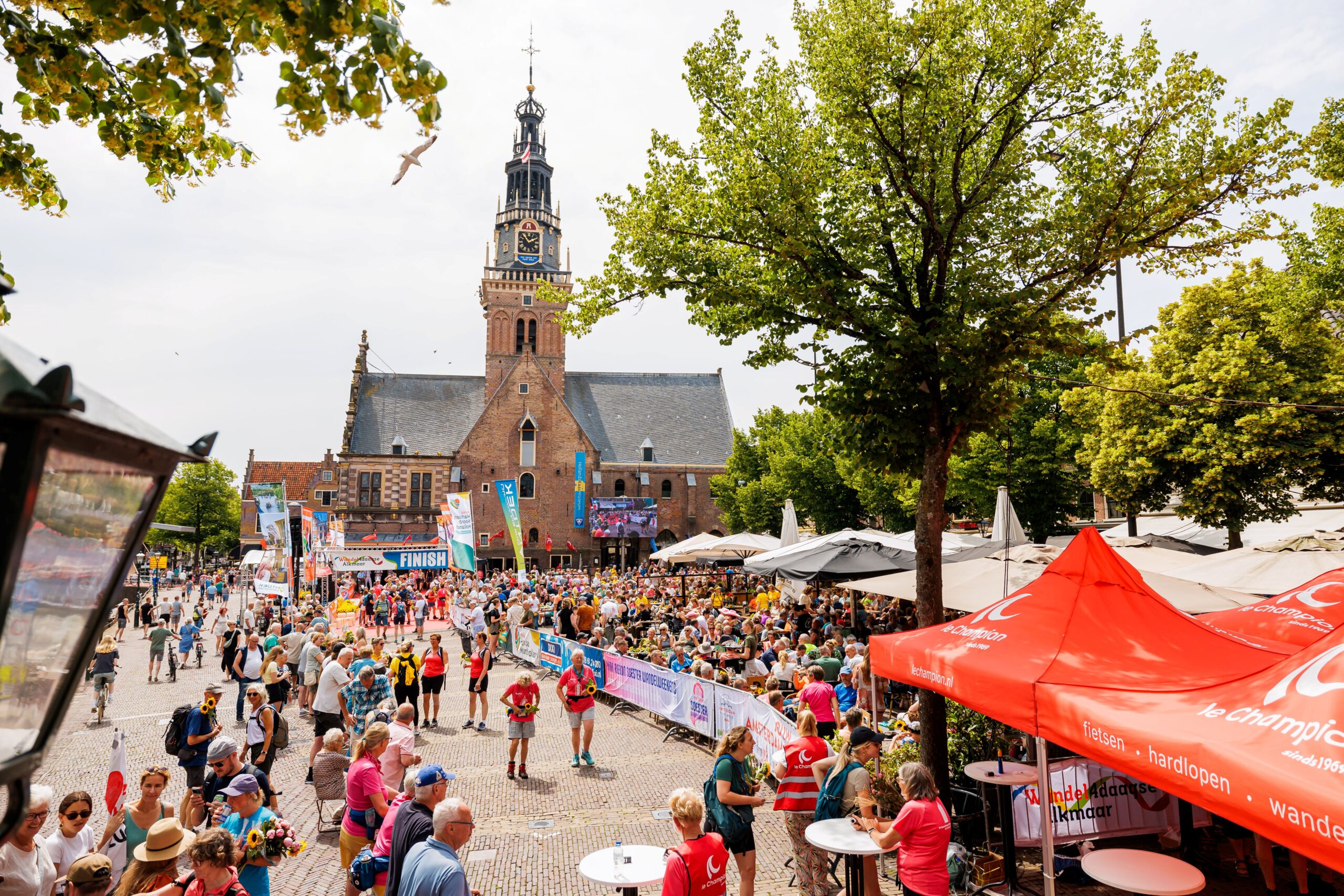 De 4 van Alkmaar