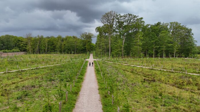Fietsen als norm in regio De Utrechtse Heuvelrug