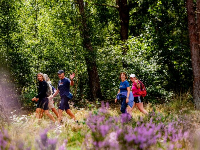 Pink Ribbon Soester Wandelweekend populairder dan ooit