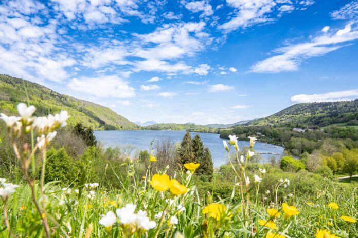 Koelte op hoogte: de mooiste zwemmeren in de Franse Alpen
