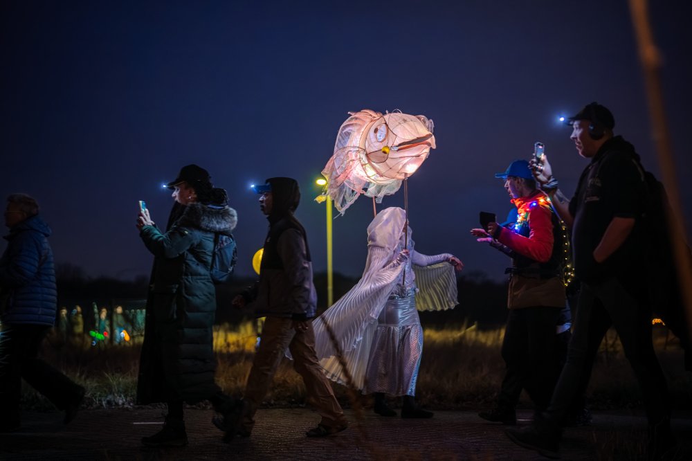 nieuwe lichtkunst, winterse projecties, sfeervolle installaties